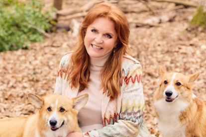 Luego de algunos meses alejada de los focos, Sarah Ferguson se prepara para regresar al Reino Unido.