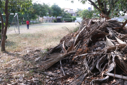 El parque Antonio Neumane tiene diversidad de flora y fauna, pero sus instalaciones necesitan mantenimiento y mejoras.