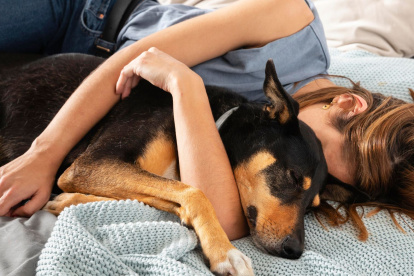 Lo mejor de la tarde: una siesta en compañía canina