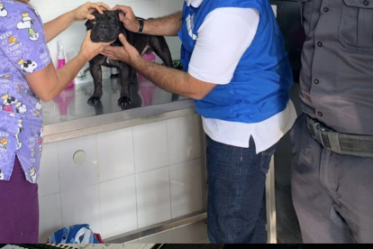 Lo que hoy es una iniciativa municipal en Quito debería convertirse en ley nacional: tarifarios regulados, trazabilidad de medicinas, auditoría de hospitalizaciones, control real sobre quién ejerce y cómo.