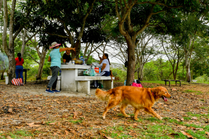 Las familias aún acuden al parque El Lago a realizar actividades al aire libre, como preparar alimentos y pedalear.