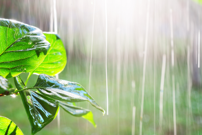Referencial.Varias ciudades del país amanecen con lluvias este lunes, según el pronóstico del Inamhi.