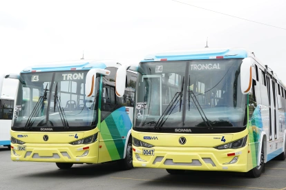 La Troncal 4 incorporará 19 nuevos buses para reforzar su operación y ampliar la capacidad de sus rutas alimentadoras en Guayaquil.