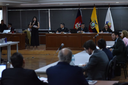 El Tribunal está conformado por los jueces Manuel Cabrera, Daniella Camacho y Julio Inga.