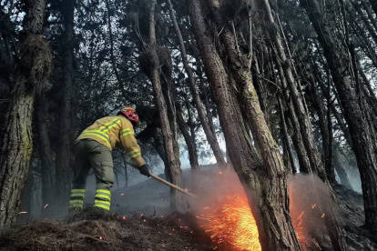 El incendio en el cerro Guagualzhumi afectó a cuatro hectáreas de vegetación.