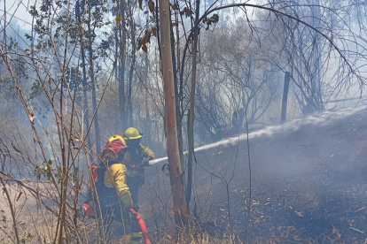 Bomberos Quito controlaron un incendio forestal registrado este sábado 12 de septiembre en el sector de El Quinche.