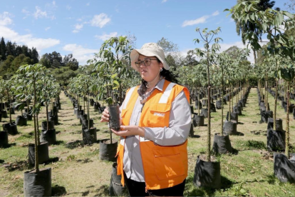 María Belén Calvache, directora de Áreas Naturales de la Empresa de Obras Públicas de Quito, en el vivero de Las Cuadras, sur de la urbe.