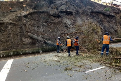 Los árboles quedaron en riesgo de caer en un tramo de la avenida Velasco Ibarra.