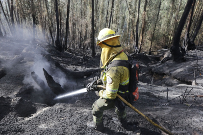 El incendio forestal consumió cinco hectáreas de vegetación en La Vicentina e Itchimbía, en el centro-norte de Quito.