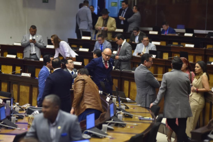 El Pleno de la Asamblea aprobó el informe de la Comisión de Seguridad con 85 votos.