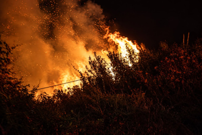 La emergencia registrada en La Vicentina generó una columna de humo visible desde varios sectores de Quito durante la jornada.