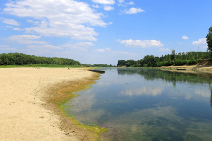 Bajo nivel del río Danubio a su paso por la localidad de Roseti, en Rumanía, en una imagen de principios de agosto.