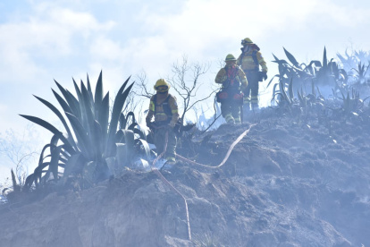 Bomberos Quito mantiene operaciones terrestres y aéreas en el cerro Casitagua para controlar el incendio forestal y evitar su propagación.