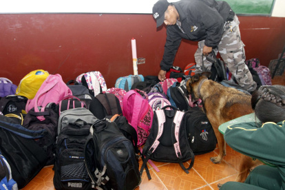 La disuasión es buena, pero sería importante reforzarla con visitas periódicas a planteles de canes entrenados para la detección de sustancias, o con la revisión aleatoria de mochilas, bolsos y cartucheras que los alumnos.