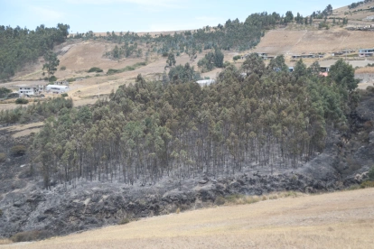 En una zona del cerro Casitagua el fuego ta fue controlado. En el sector norte las llamas siguen.