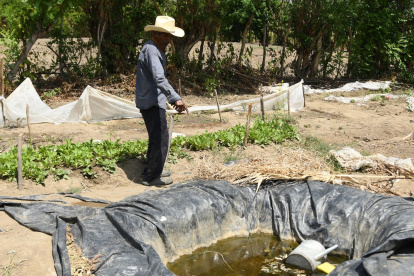 Jesús Rodríguez muestra un agujero artesanal donde almacenan la poca agua de lluvia que cae debido a la sequía en El Jícaro (Guatemala).