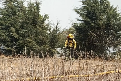 Imagen referencial. Fotografía de un incendio forestal en el sector de Catzuquí de Moncayo, en el norte de Quito.