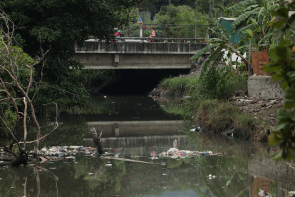 La recuperación del estero Salado requiere reducir las fuentes de contaminación y aplicar soluciones sostenidas para restaurar su ecosistema.