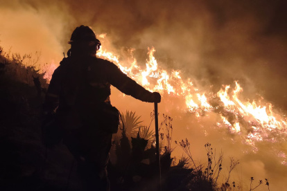 El incendio forestal en el cerro Casitagua afectó alrededor de 300 hectáreas, según informó el Municipio de Quito.