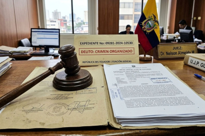 La justicia especializada es un mandato constitucional, creada precisamente para atender causas no ordinarias y complejas, con operaciones financieras sofisticadas que demandan cooperación internacional.