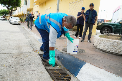 Labores de desratización en Urdesa Central