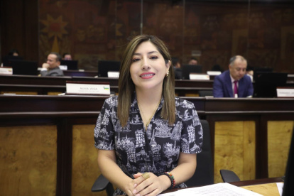 La asambleísta del oficialismo Inés Alarcón propuso un cambio en el orden del día pero no logró los votos necesarios.