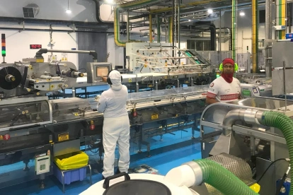 Las industrias AV1 y AV2 podrán reorganizar sus procesos productivos para reducir durante un día a la semana el consumo de energía de la red eléctrica.