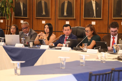 Ferdinan Álvarez preside la Comisión de Fiscalización.
