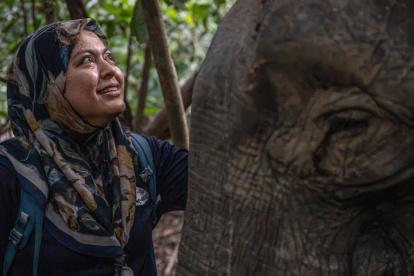 Farina Othman, conservacionista de elefantes de Borneo y fundadora de Seratu Aatai, susurrándole a una elefanta de Borneo tras una operación de colocación de collar GPS.