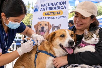 Referencia. Perros y gatos mayores de tres meses podrán recibir gratuitamente la vacuna antirrábica durante la jornada nacional que recorrerá Ecuador.