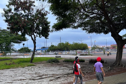 El parque lineal de la calle Portete es utilizado por vecinos para caminar y pasear a sus mascotas, aunque algunos moradores cuestionan la seguridad y el estado del espacio.