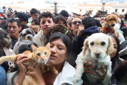 Familias quiteñas podrán acudir con sus mascotas a la tradicional bendición que se realizará en la Plaza de San Francisco este sábado especial.