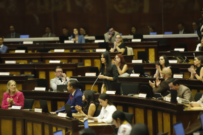 La legisladora de ADN Diana Jácome fue la encargada de presentar el informe ante el Pleno de la Asamblea.
