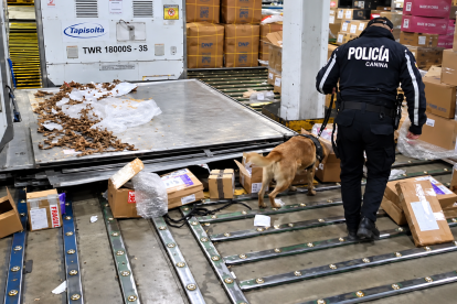 El can detector BECKY alertó sobre una encomienda que contenía cocaína oculta en fundas de chocolate con destino a Países Bajos.