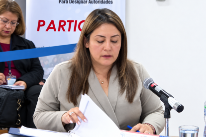 Gabriela Sierra fue la abogada que representó a Hamilton Taramuel en la audiencia de impugnación.