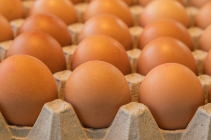 Comerciantes de Ambato y Cotopaxi reportaron una caída en las ventas y clientes que compran menos huevos tras el alza.