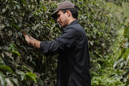 Una cultura alrededor del café de especialidad