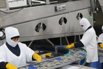 El impacto no se limita a los usuarios que reciben una factura más alta. También aumentan los costos de proveedores de insumos y servicios.