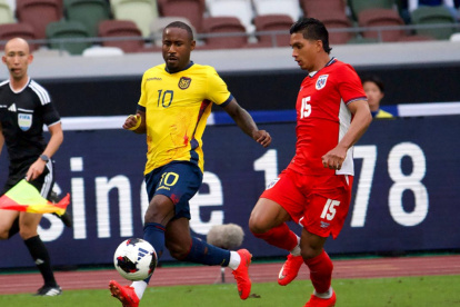 A mediados de noviembre se cumplirá con una nueva fecha FIFA, en la que Gallardo seguirá dando forma a su idea de juego con la Tricolor.