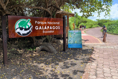 Galápagos se prepara para El Niño: científicos y operadores turísticos, en alerta.