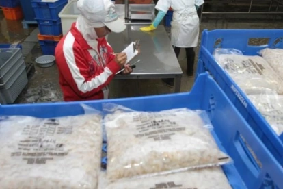 Las empresas de medio voltaje recibirán restricciones de miércoles a viernes desde el 12 de octubre.