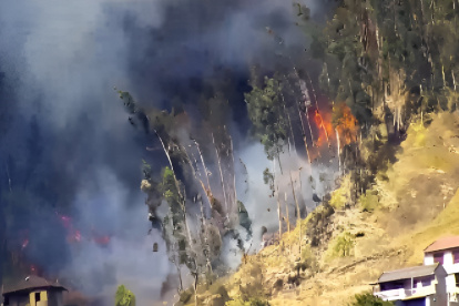 Los incendios forestales se mantienen activos en tres provincias de Ecuador, según la Secretaría Nacional de Gestión de Riesgos. Imagen referencial.