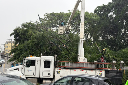 La caída de un árbol de gran tamaño afectó el tendido eléctrico en Lomas de Urdesa durante las lluvias de este lunes 19 de octubre.