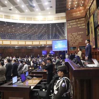 El Pleno de la Asamblea Nacional debatió la ley de educación financiera.