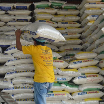 Una persona apila sacos de arroz en una bodega.