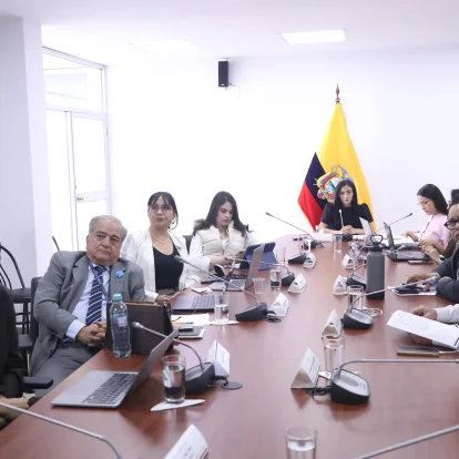 La Comisión de la Niñez continuó la fiscalización de denuncias de acoso escolar y violencia en instituciones educativas.