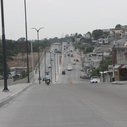 Las aceras y parterres no cuentan con sombra en la avenida Teodoro Alvarado Oleas, en el norte de Guayaquil.