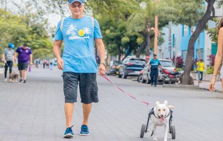 Ruta Urdesa Guayaquil
