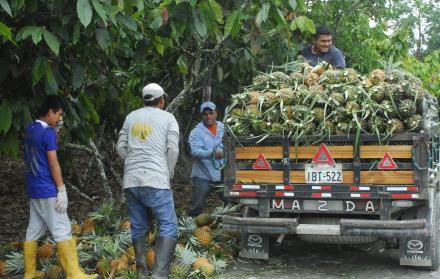 canadá chile exploración comercial