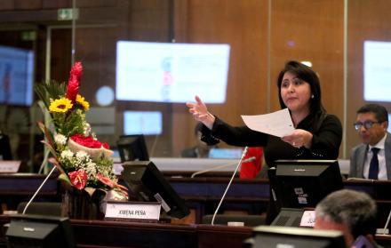 Ximena Peña, Asamblea.